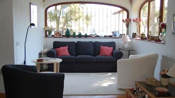 Télévision, cheminée, lecteur de DVD