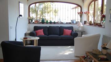 Een televisie, een open haard en een dvd-speler