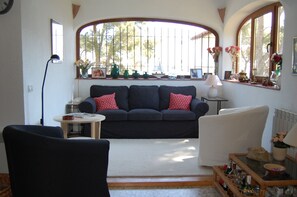 TV, fireplace, DVD player