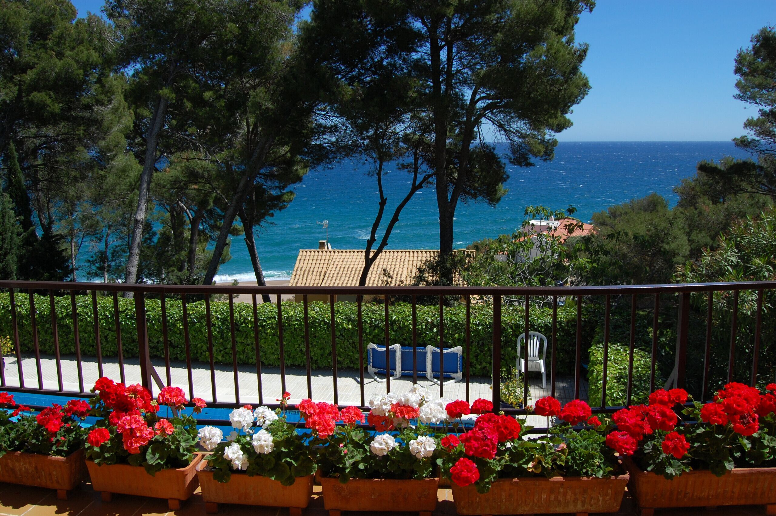 Terrein van de accommodatie