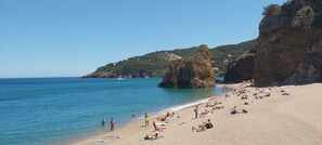 Playa en los alrededores