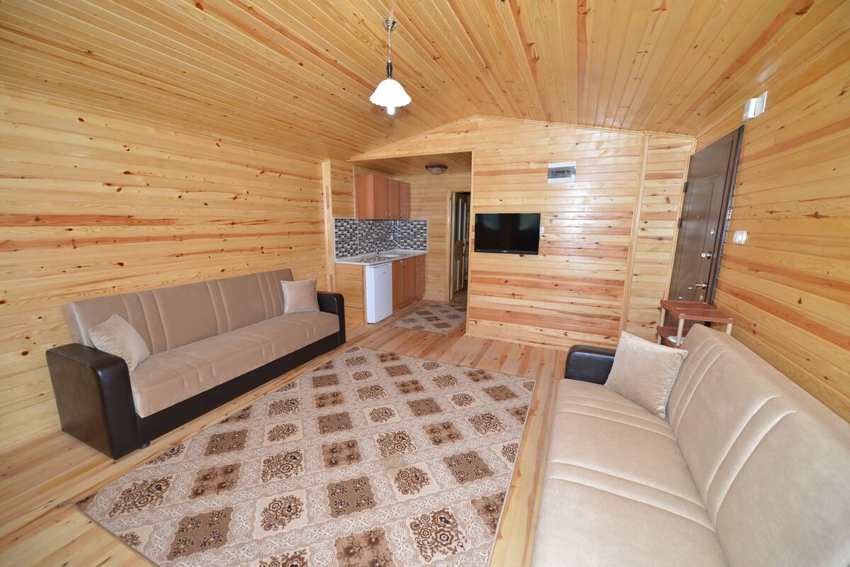 A wooden interior with two sofas, a patterned rug, a television, and a kitchen area.