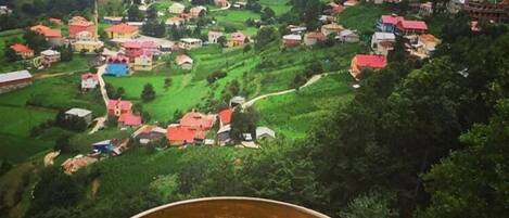 Vista de un pueblo con casas y vegetación, y una olla de comida en primer plano.