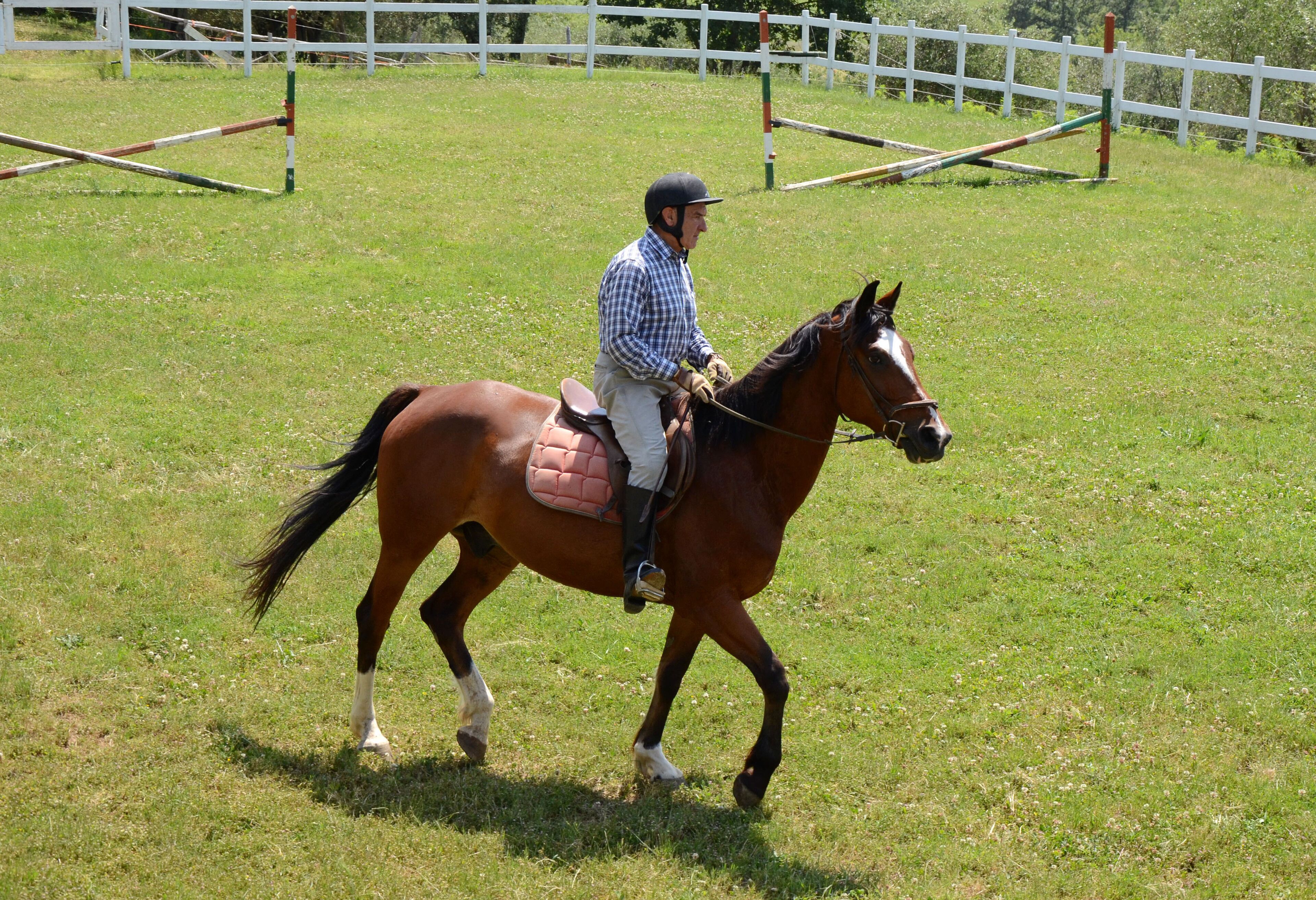 Eine Person reitet ein Pferd in einer Reithalle im Freien, im Hintergrund ist ein weißer Zaun zu sehen.
