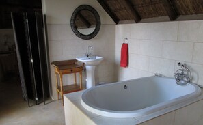 Combined shower/bathtub