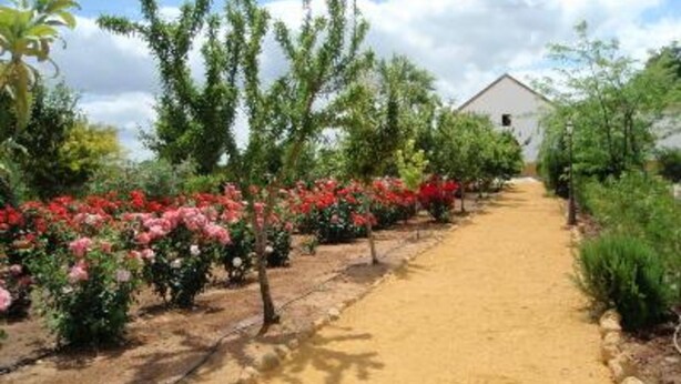 A pathway leading to a building surrounded by flowering plants and trees.
