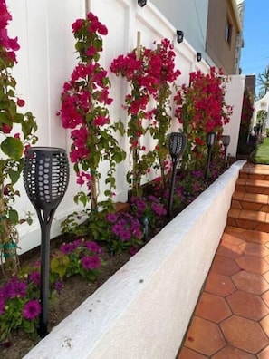 Property grounds - Blocks from the beach, enjoy this newly renovated studio. (Hermosa Beach)
