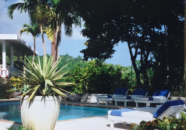A pool area with lounge chairs and a large potted plant. - Captivating 3-bed Villa in Montego Bay (Montego Bay)