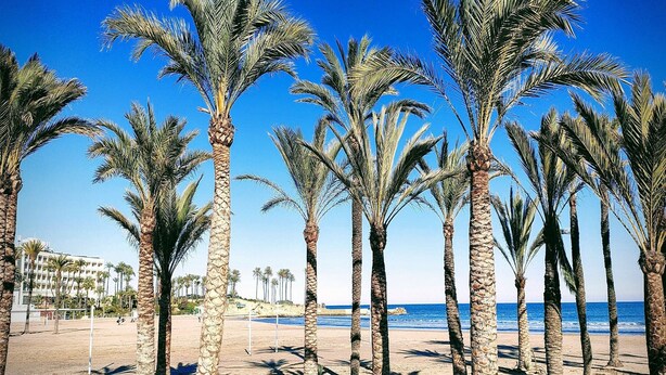A beach with tall palm trees and a clear blue sky. - House - Sleeps 8 - Pool - Garden - Parking (Javea)