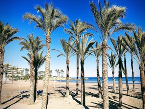 A beach with tall palm trees and a clear blue sky. - House - Sleeps 8 - Pool - Garden - Parking (Javea)