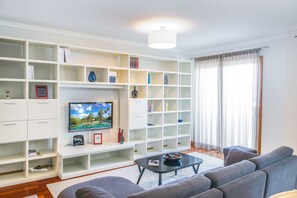 電視、書籍