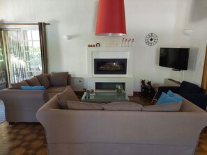 Smart TV, fireplace, ping pong, books