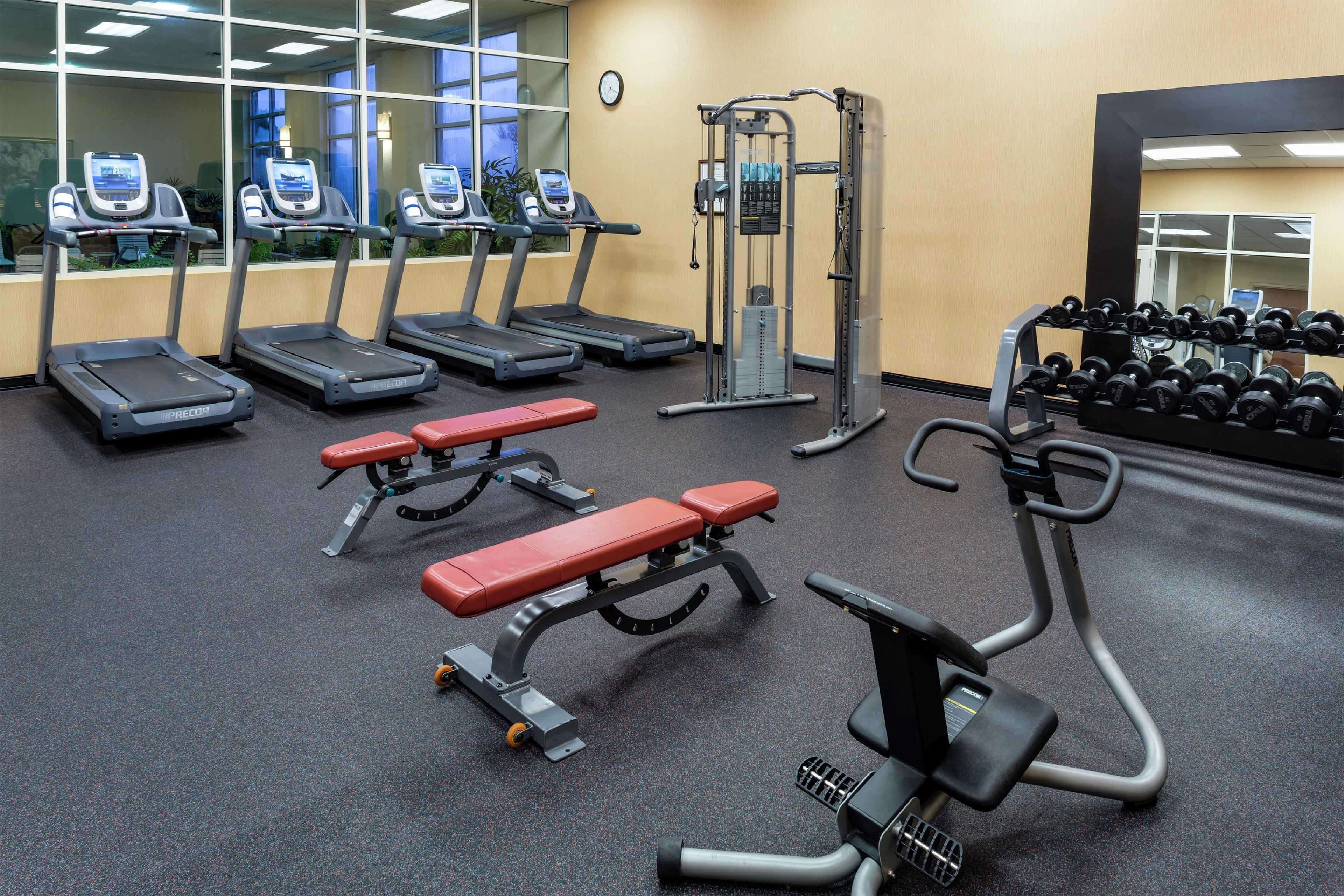 A gym with treadmills, benches, a squat rack, and dumbbells.