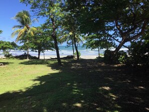 A beach with trees and a view of the ocean.