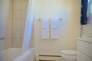 Combined shower/bathtub, hair dryer, towels, soap