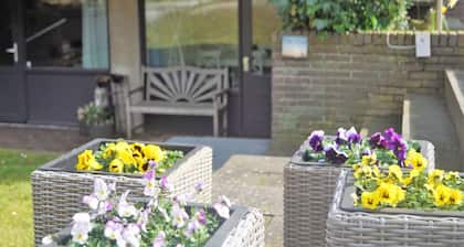 Souterrain The Freesia