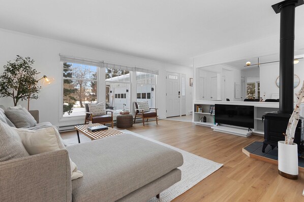 Smart TV, fireplace, books