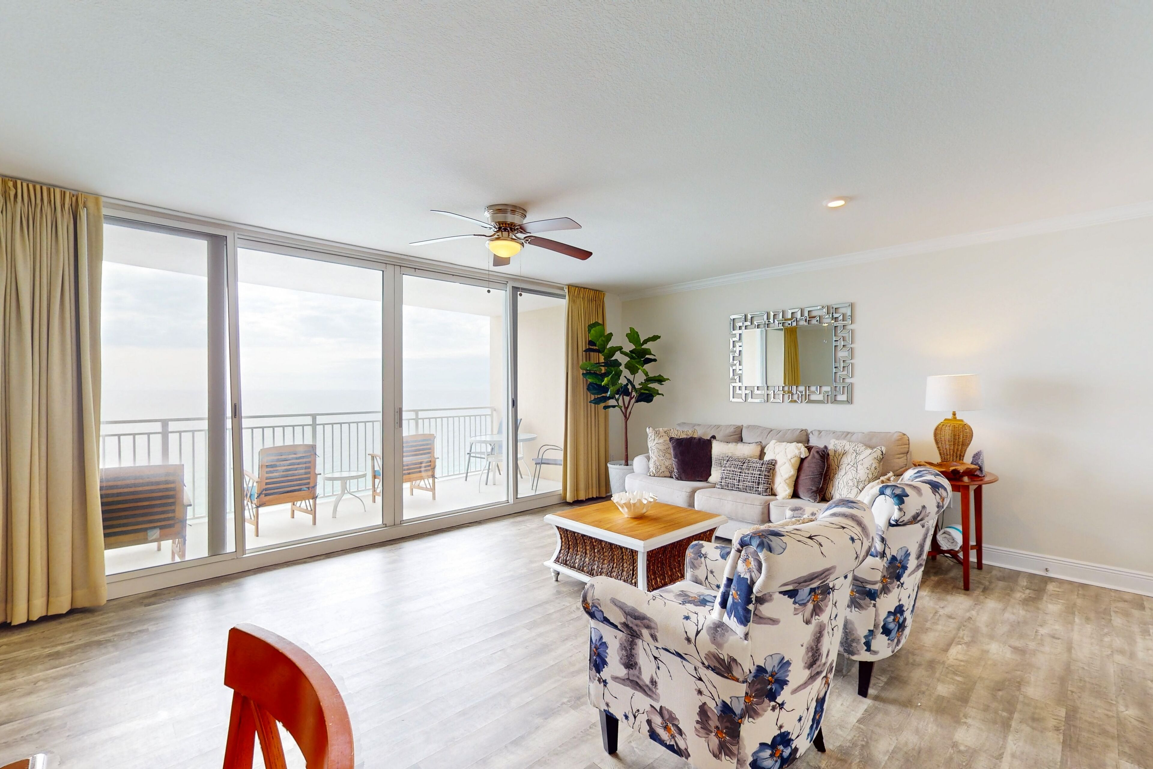 电视、DVD 播放器