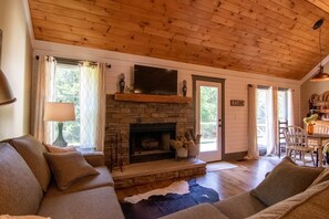 Smart TV, fireplace, books