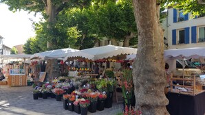 Un mercado de flores con varios puestos bajo toldos blancos, rodeado de árboles y edificios.