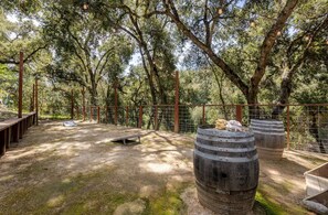 Property grounds - Oak Treehouse Retreat (Carmel Valley Road)