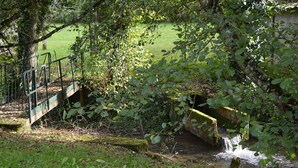 A rustic stone bridge over a small stream, surrounded by lush greenery and a grassy field. - Character cottage near Verdun (Dieue-sur-Meuse)
