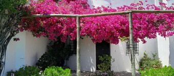 Casa Estrela, hermoso escondite del Algarve