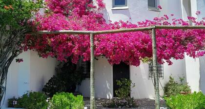 Casa Estrela, belle cachette de l'Algarve