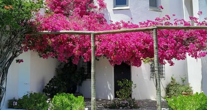 Casa Estrela, Luxury Algarve Villa, Stunning Views, Private Pool, Gardens, Fibre