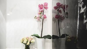 A bathroom with white tiled walls, a white sink, and a mirror. There are two potted plants with pink flowers and a vase with white flowers. - TS. Peter's Fashion suite with jacuzzi Vaticano-Rome (roma)