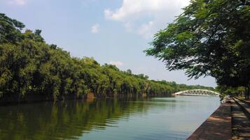Un fiume tranquillo con un ponte in lontananza, immerso in una vegetazione lussureggiante.