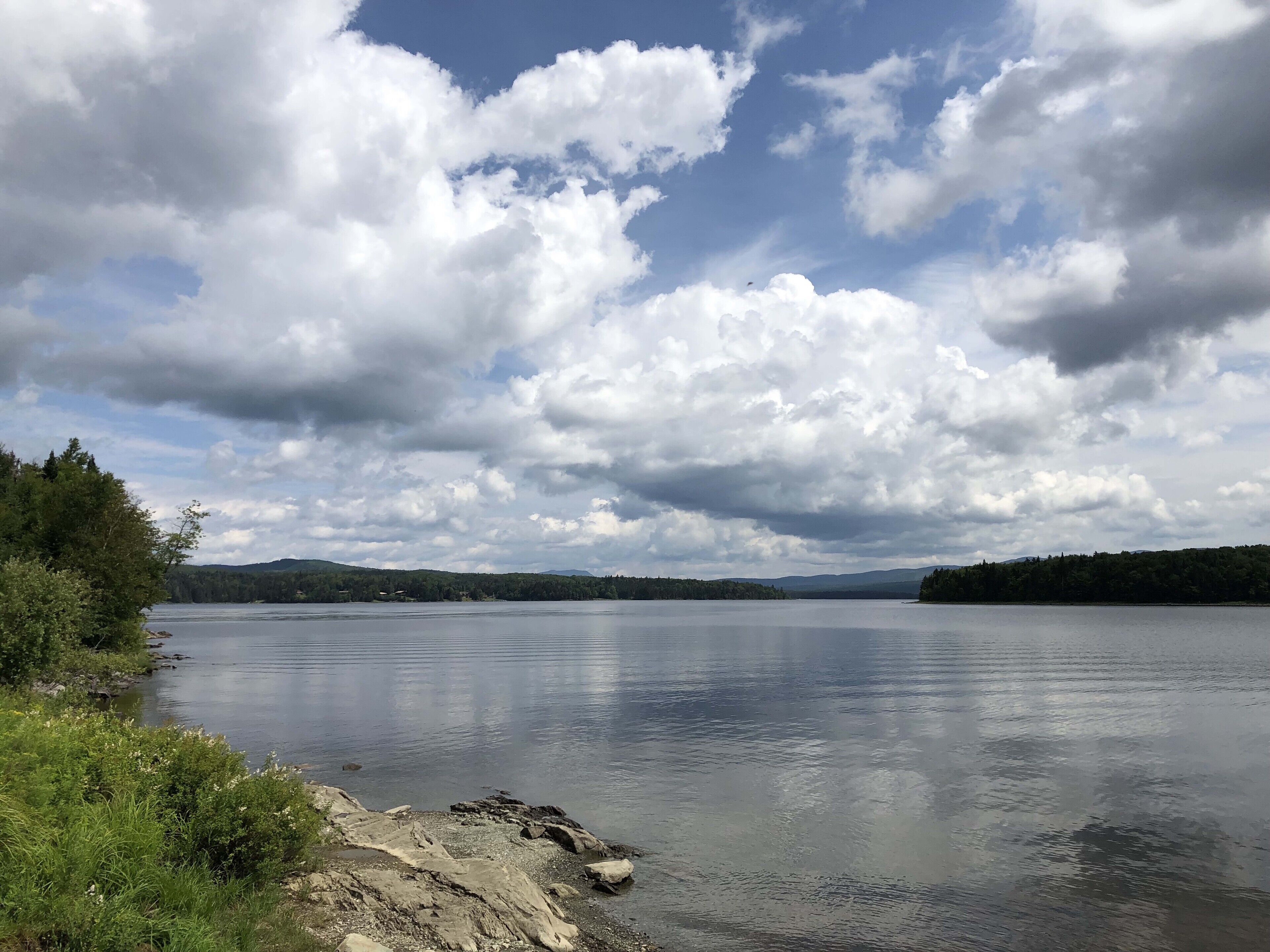 Un lac paisible, bordé d’une rive rocheuse, avec une forêt dense en arrière-plan.