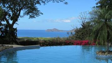 Luxury Villa, 3 Bedrooms, Private Pool, Ocean View | View from room
