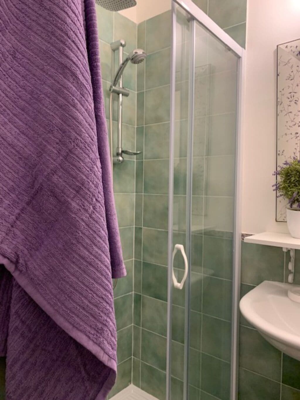 Ducha, secador de pelo, toallas, jabón