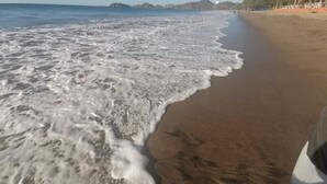 A beach with waves lapping onto the shore, palm trees, and a clear sky. - Villas El Ron Ron (Cartagena)