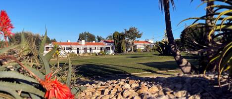 Vista frontal de la propiedad