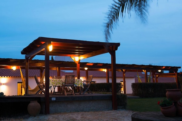 Fachada del alojamiento - Noche