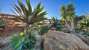 Vista al jardín