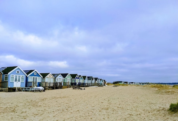 Beach - Evergreen - A charming & historic cobb cottage (Bransgore)