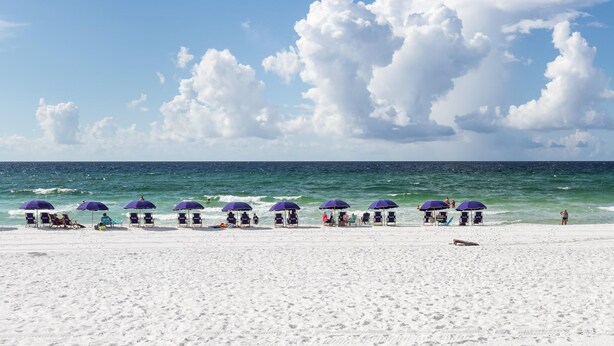 A beach with white sand and ocean waves. There are purple umbrellas and lounge chairs along the shore. - Summer Place #109 Large 4Bd Poolside Beachfront - 2 Sets of Beach Service! (Fort Walton Beach)