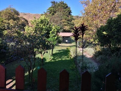 Sofi's Hostel Monteverde