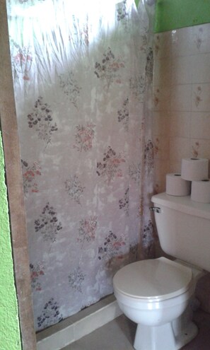Ein Badezimmer mit Toilette, einem blumigen Duschvorhang und einer Rolle Toilettenpapier.
