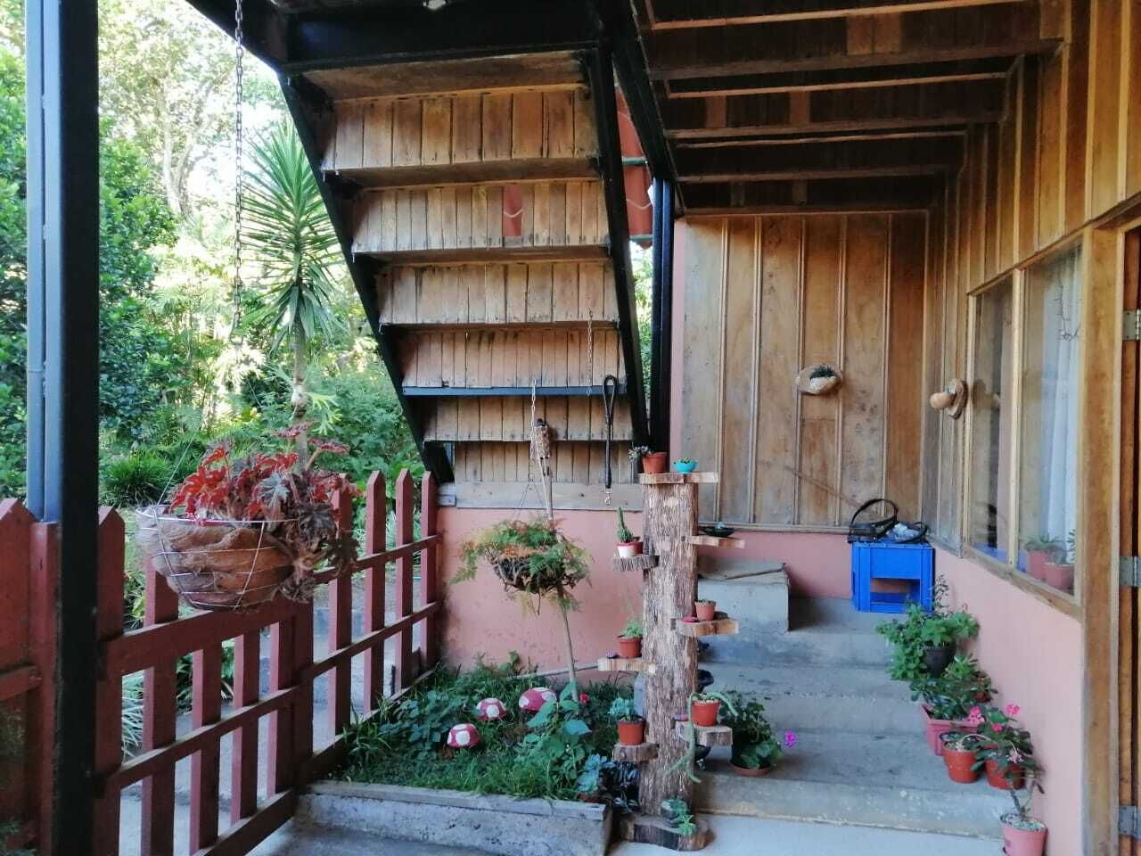 Un escalier en bois mène à un espace abrité où se trouvent des plantes en pot et une caisse bleue.
