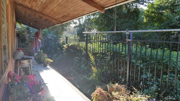A covered balcony with potted plants and a wooden ceiling. - Sofi's Hostel Monteverde (Sierra)