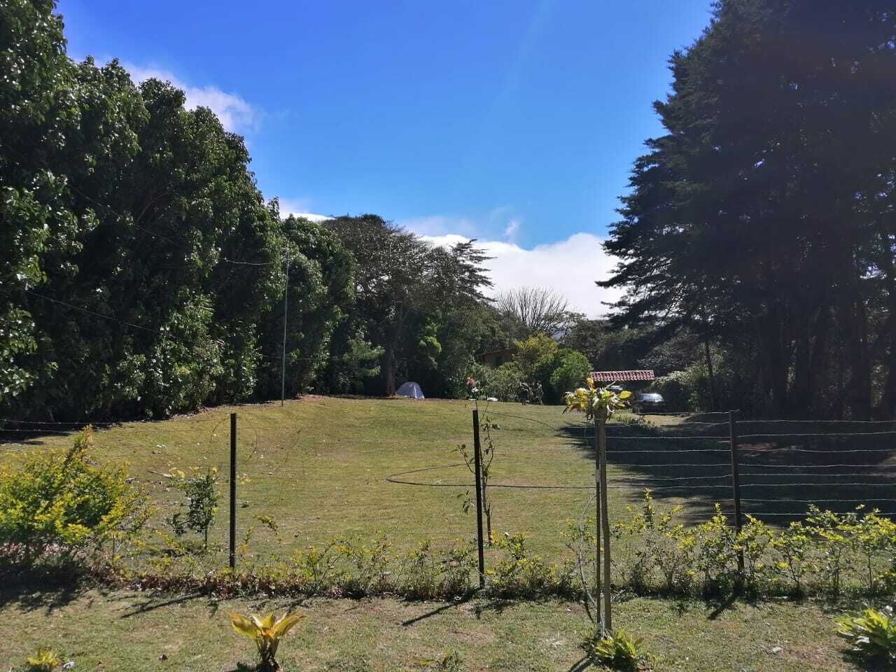 花園