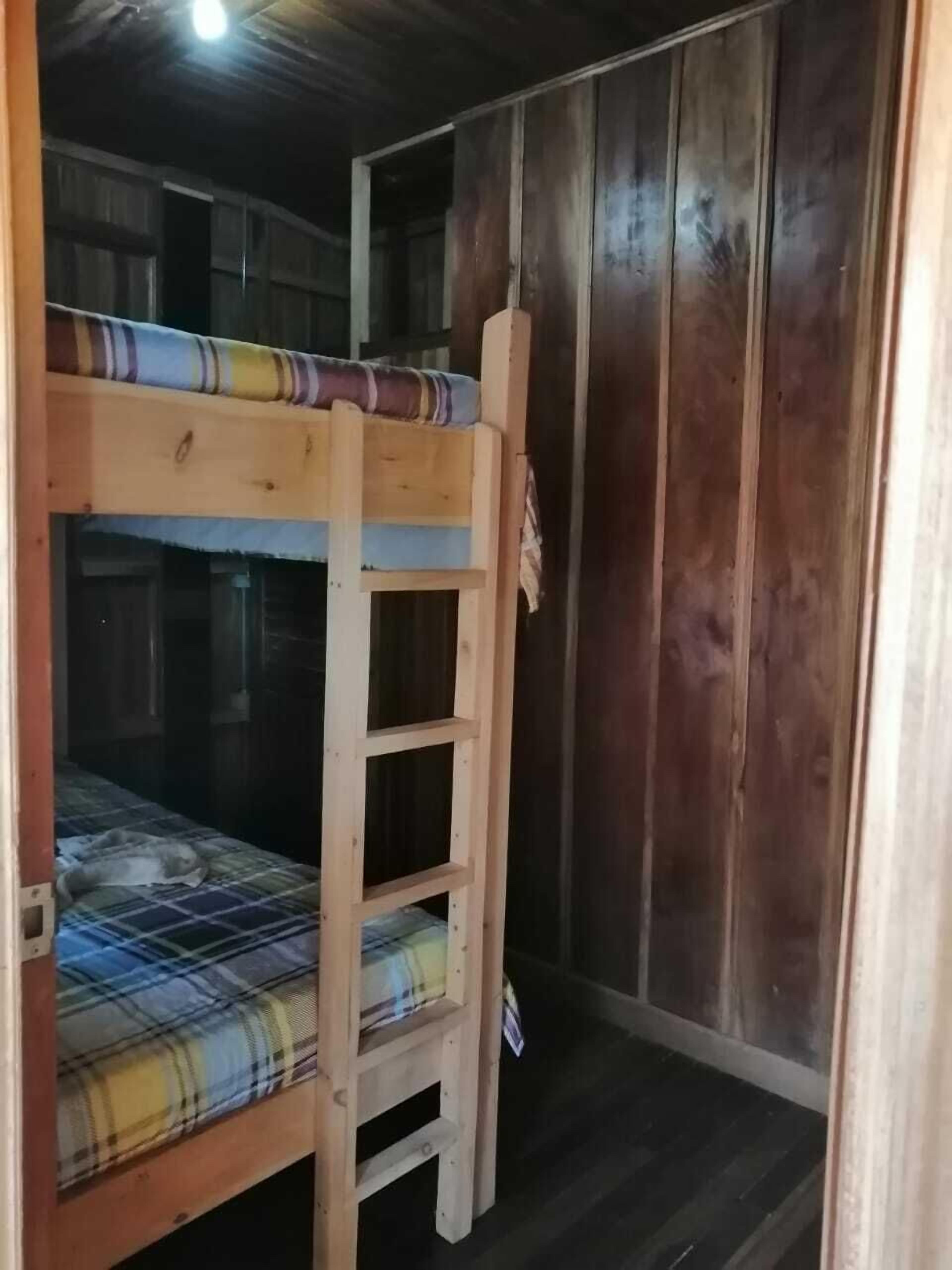 Un llit superposat amb una escala, parets de fusta i una finestra.