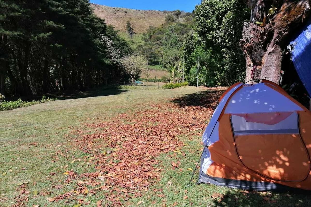 A camping area with a tent set up on a grassy field with scattered leaves.