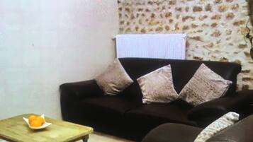TV, DVD player, books, video library