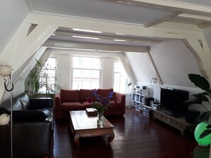 TV, DVD player, books, music library