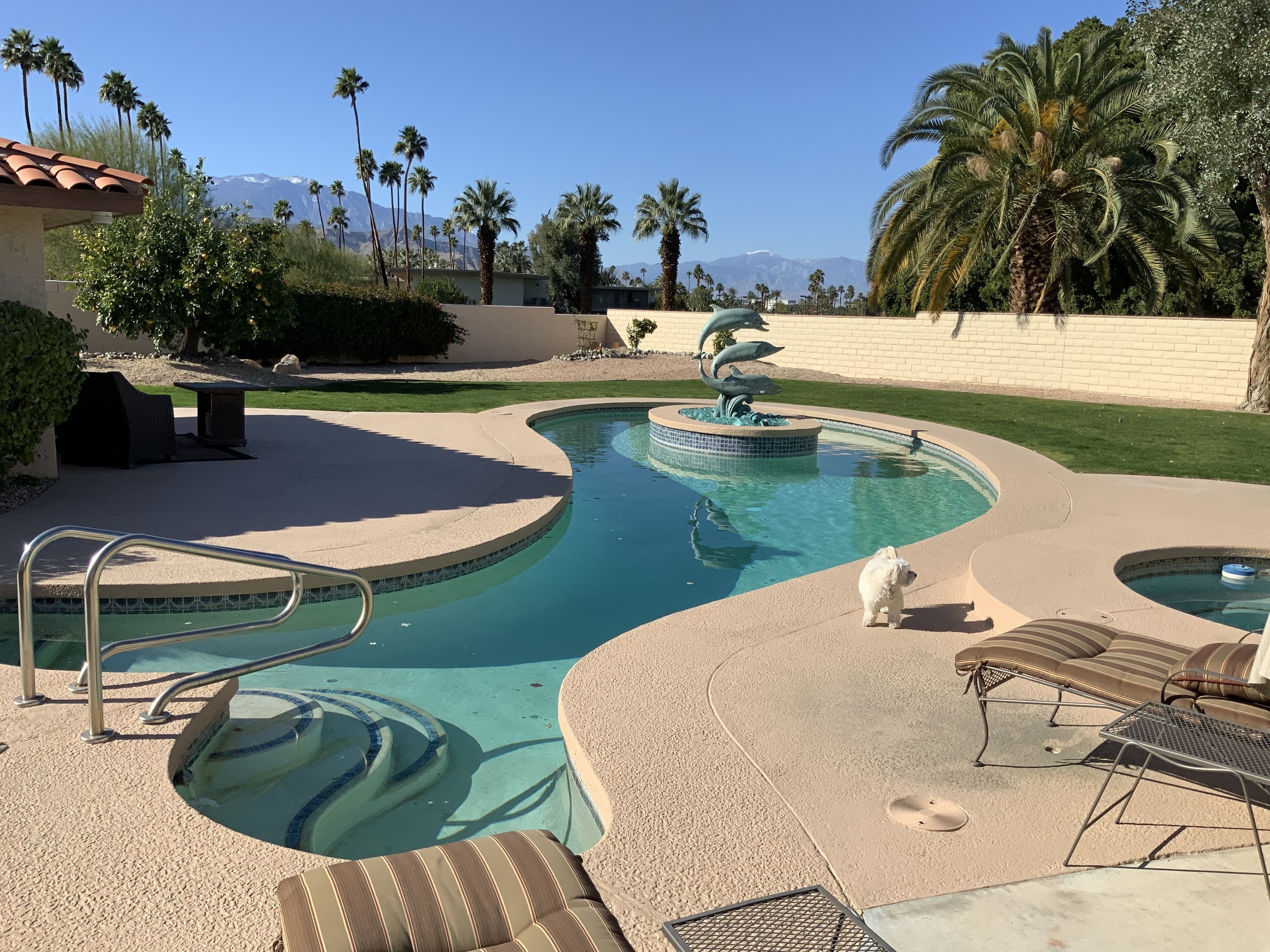 屋外プール、温水プール